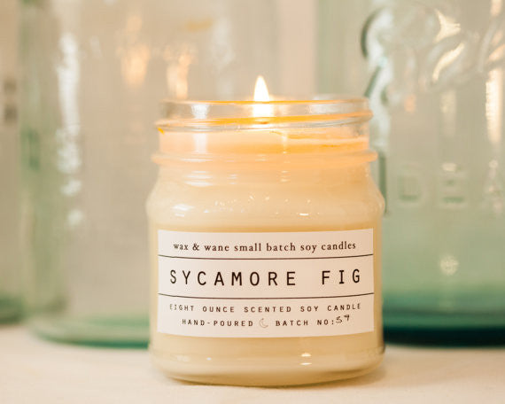 Sycamore Fig Soy Candle